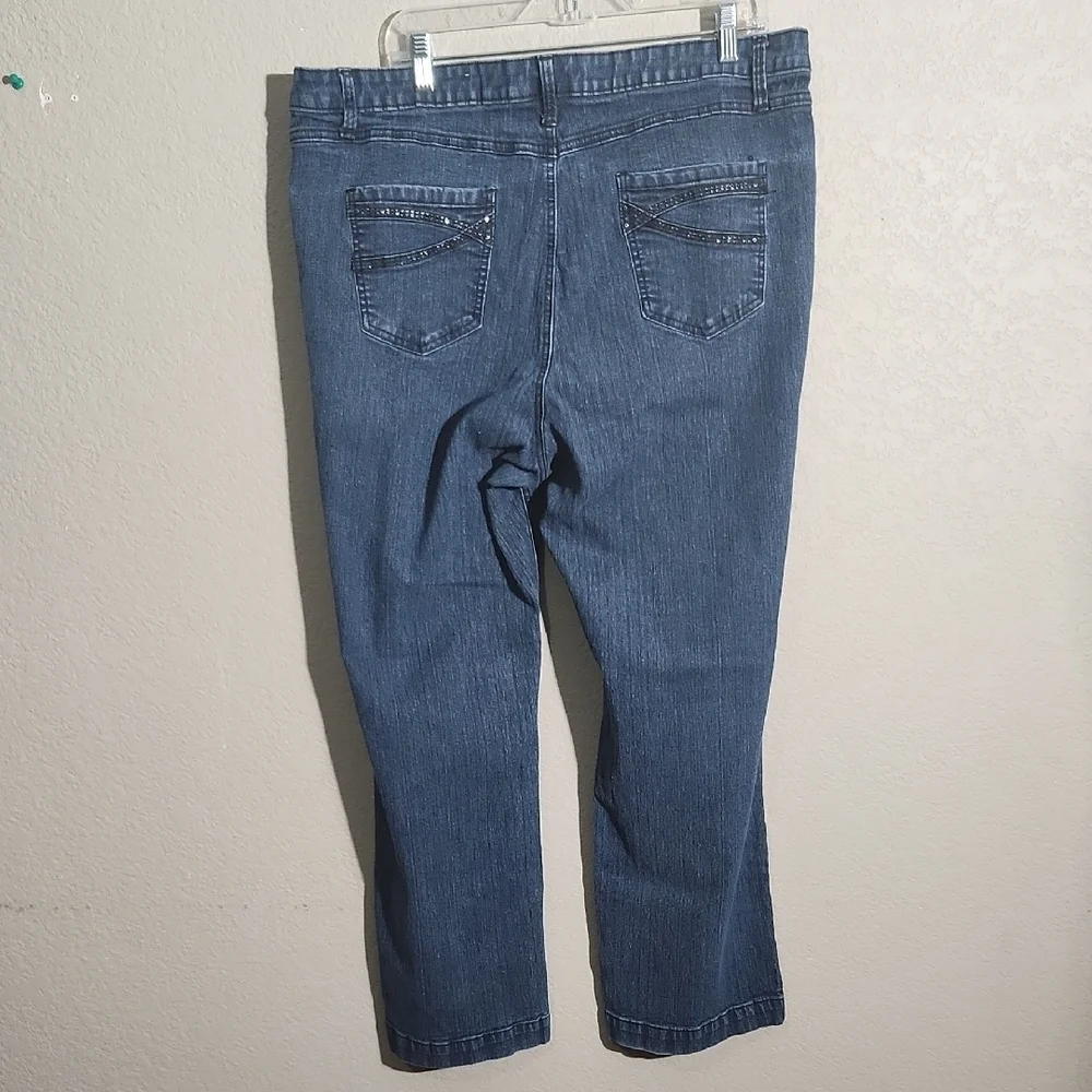 Fantasy Jeans Womens Size 20 Blue Denim